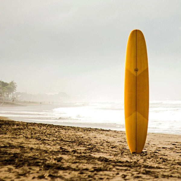 Surfing in India!